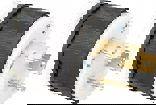 Locking Inlet: Plug, Industrial, L8-30P, 480V, Black & White